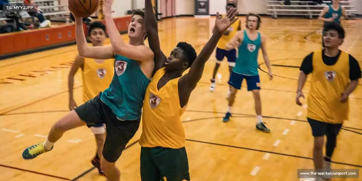 行业领先的理由